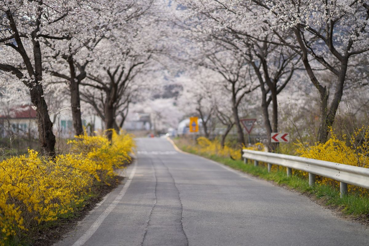 Sidewalks:  Why You Should Not Neglect Their Maintenance