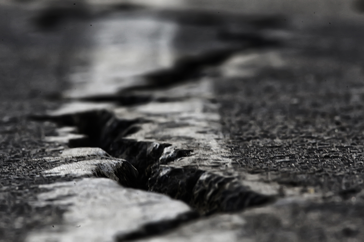 Combatting Tree Root Damage to Your Asphalt Driveway