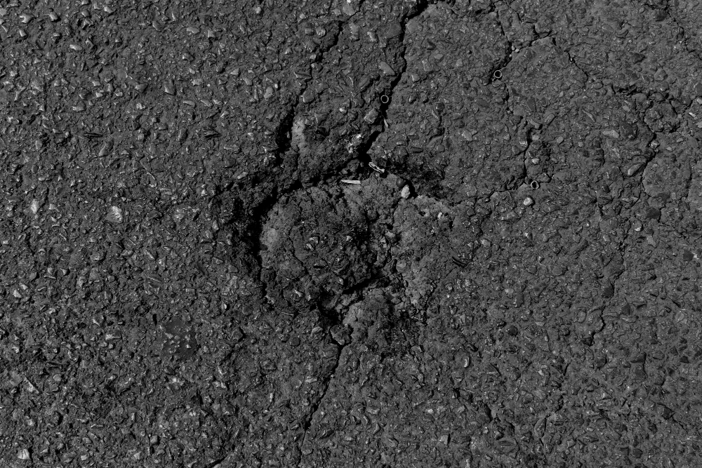 The Hidden Costs of Ignoring Asphalt Potholes