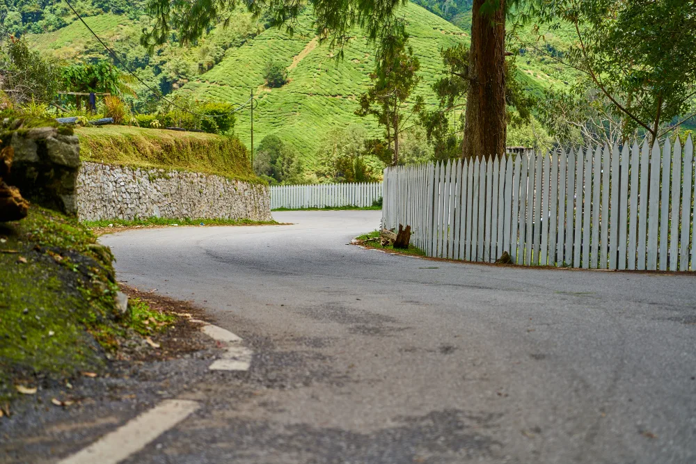 Your Complete Guide to Residential Driveway Paving Costs and Timelines