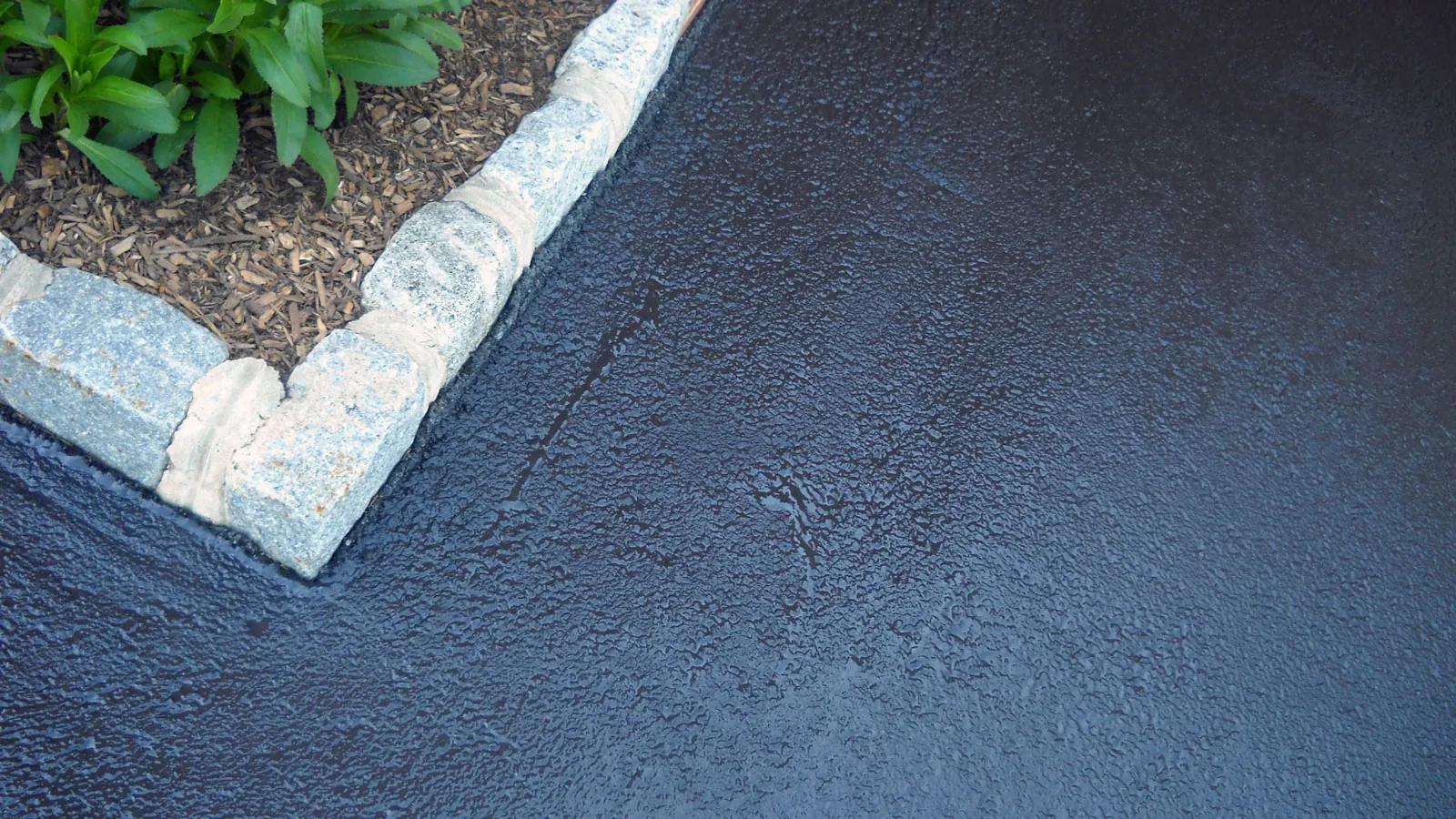 Premium sealcoating services in Winter Park