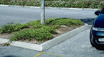 Parking Lot Island Removal